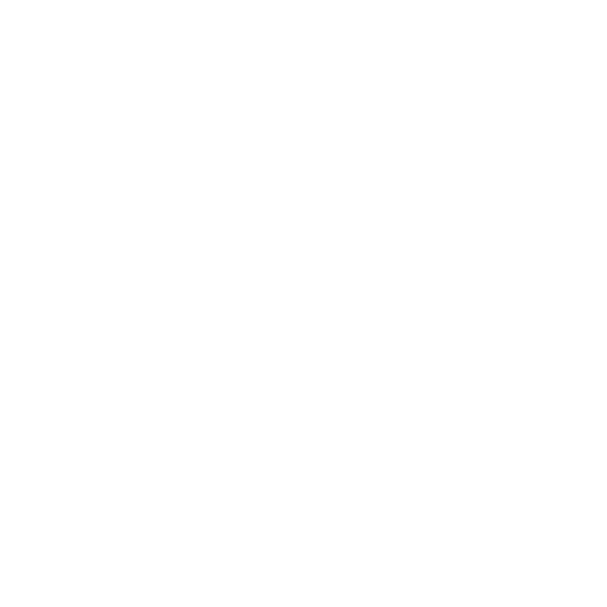 Evol logo