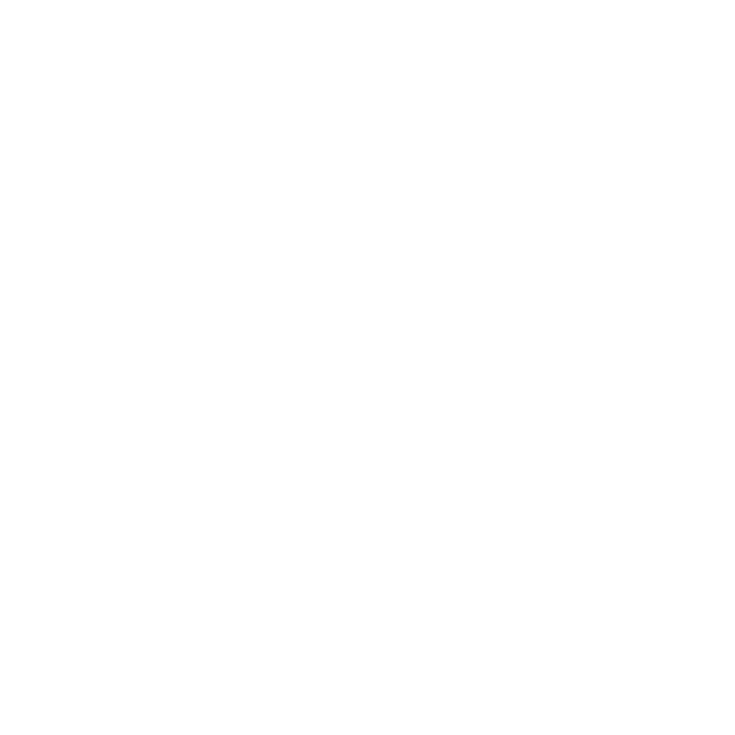 Fini logo