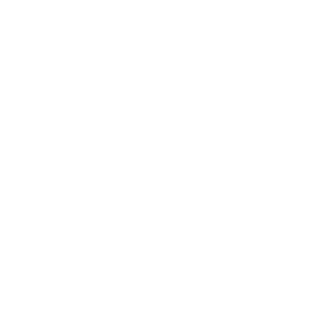 Harley Davidson logo