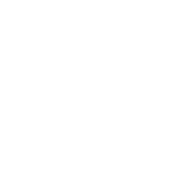 Nitro Circus logo