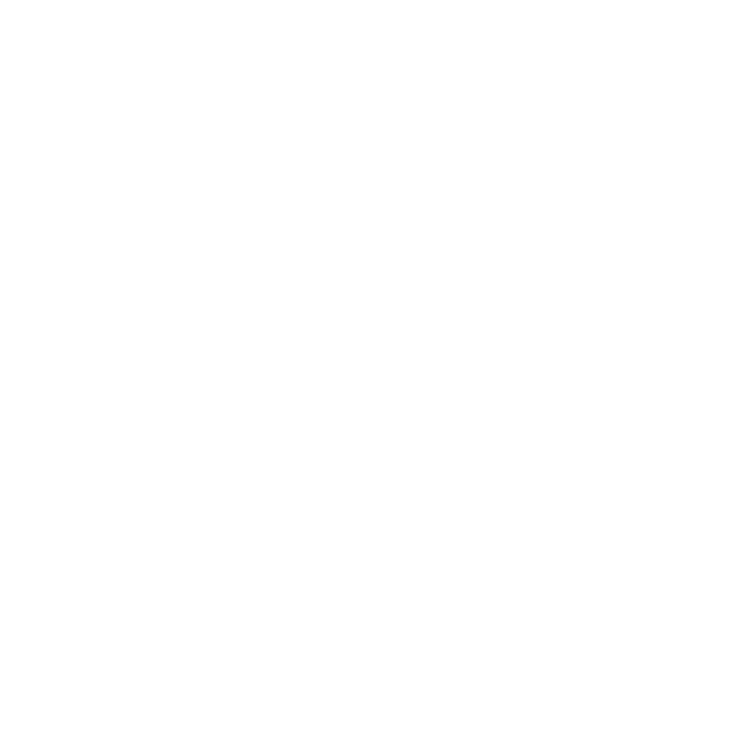 North Face logo