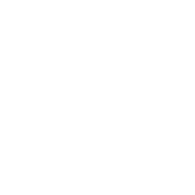 Slinky logo