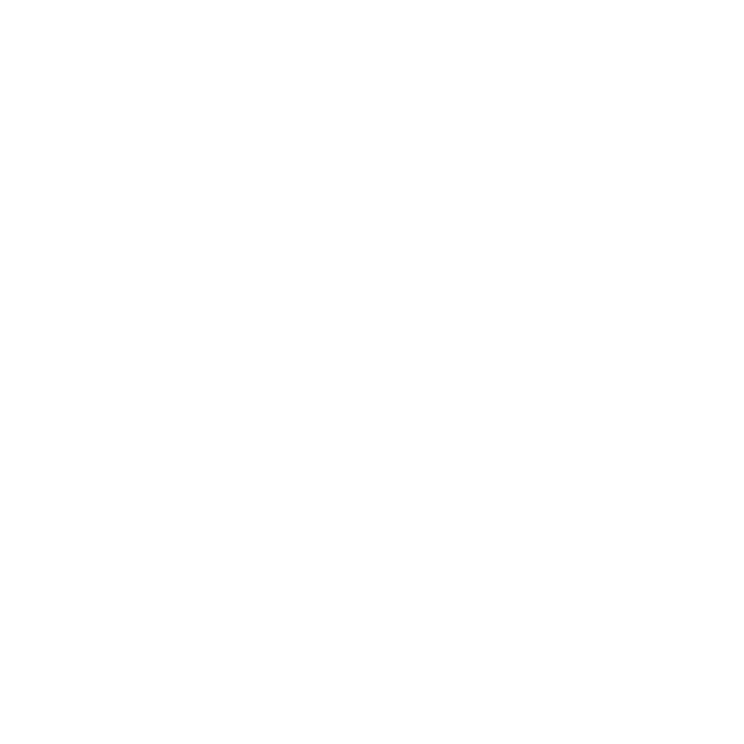 USA Swimming logo