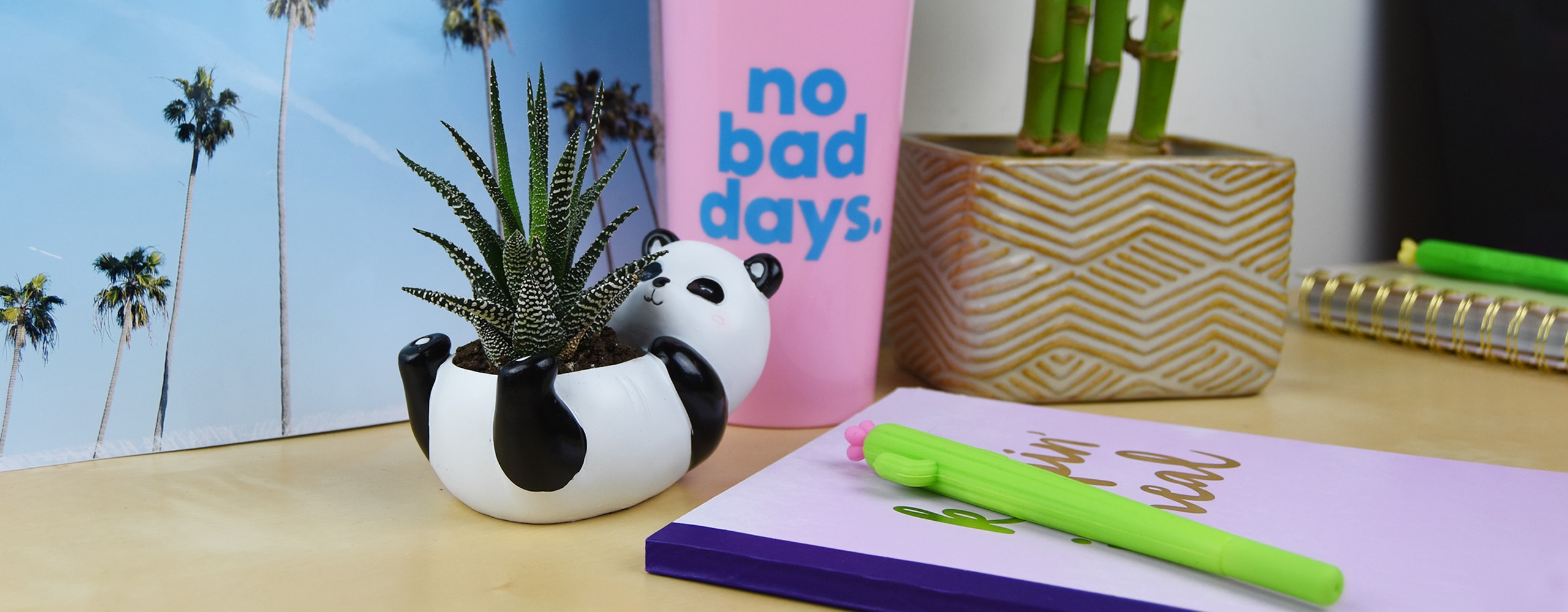 Desk image showcasing a range of Amazon Teen products including a panda shaped planter, coffee mug, notebook and pen.