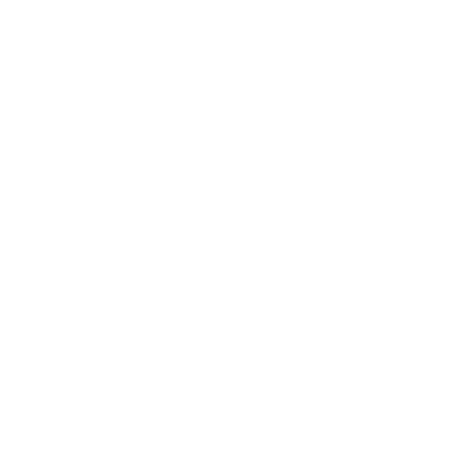 logo for VIP Kid