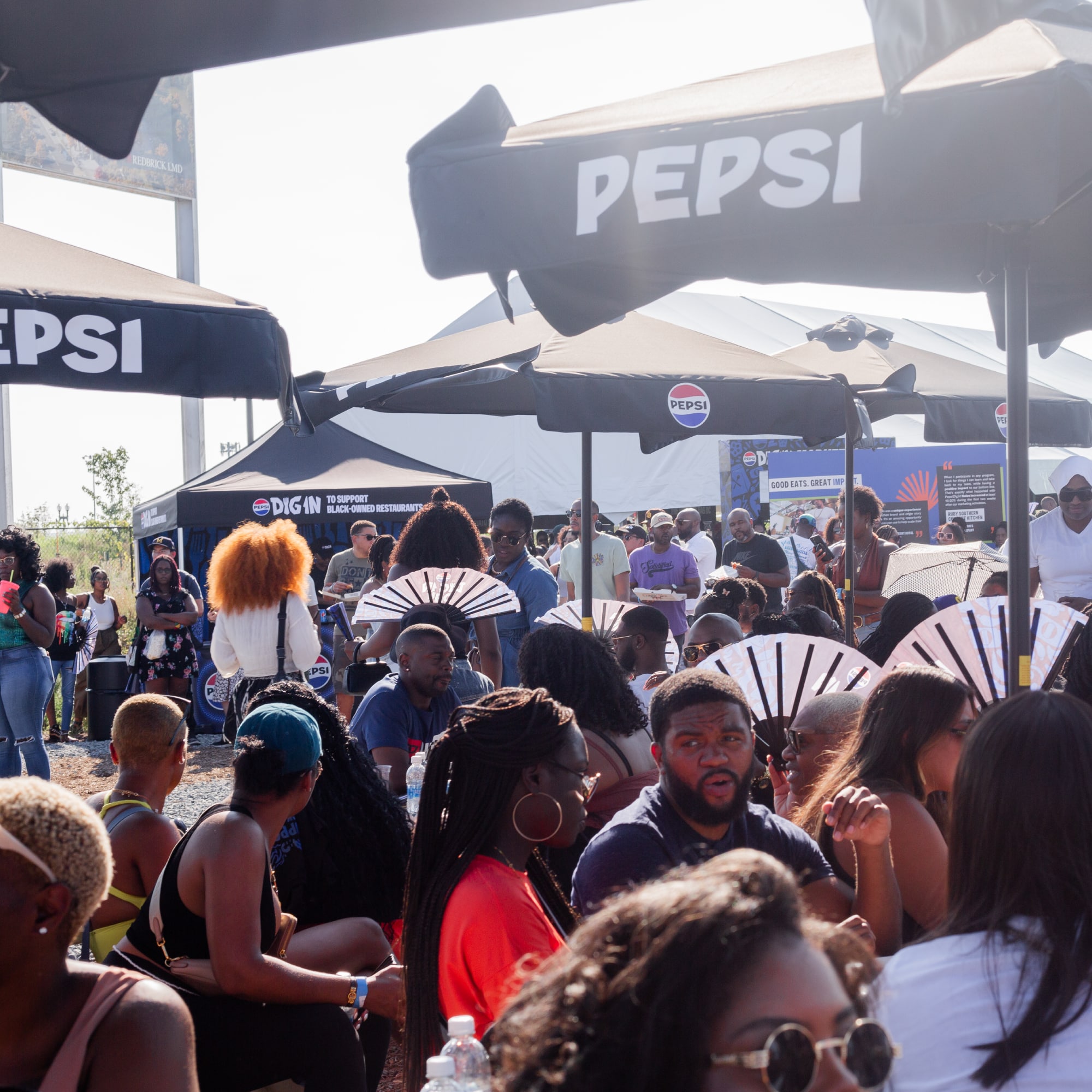 A crowd scene at Pepsi's Dig in Day
